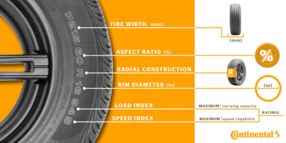 Tire Anatomy 